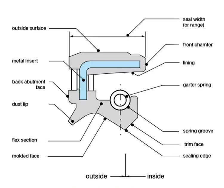 TC Oil Seal1