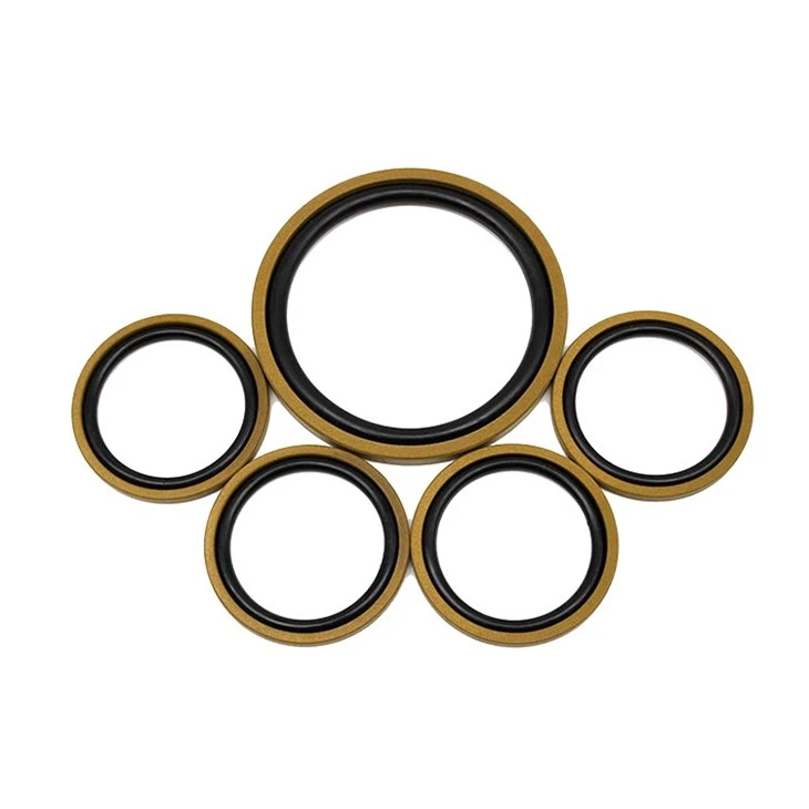 Hydraulic Piston SPGO Seal/Glyd Ring Compact Seals