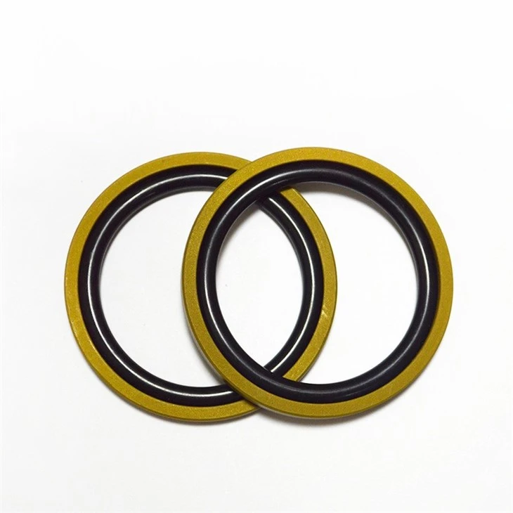 Hydraulic Piston SPGO Seal/Glyd Ring Compact Seals
